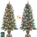 2 Pack 4 FT Snowy Artificial Potted Christmas Tree with 60 LED Lights,Warm White and Colored Changing,8 Lighting Mode&Timer,Battery Operated,Small Xmas Tree,Outdoor Front Door Porch Home Decoration