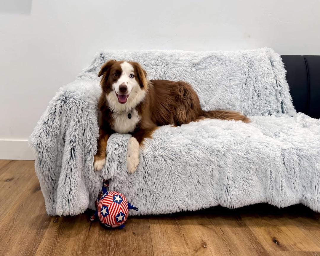 PJYuCien Dog Blankets for Medium Large Dogs Washable - Fluffy Fuzzy Cat Blanket for Couch, Puppy Throw for Furniture with Polyester Fleece, Super Soft Plush for Pet Kitten Doggy, Grey, 50" x 60"