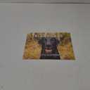 Black Lab Calendar 2025 Labrador Monthly Wall Calender 12 Month | American Made In The USA