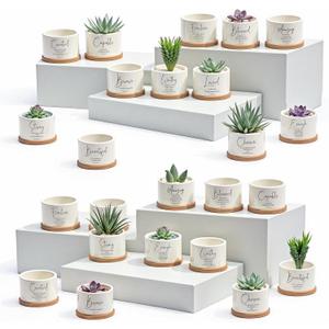 Fumete 24 Set Father's Day Christian Religious Gift Bulk Bible Verse Succulent Pots with Tray Drainage, 12 Scripture Quote, 3x2 in Mini Ceramic Flower Planter for Home Church Gift (Affirmation)