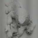 Lenwen 5 Pcs Stuffed Animal Bulk 1 Mommy Plush with 4 Cute Babies Plush Wild Stuffed Animal Toy for Boys Girls Birders Zoo Gifts (White Wolf)