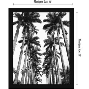 Americanflat 22x28 Poster Frame with Polished Plexiglass - Black Picture Frame - Wide Photo Frames Made of Engineered Wood for Vertical or Horizontal Wall Display - Epic Collection - Black