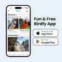 Birdfy Smart Bird Feeder with Camera for Rookie, Camera Bird Feeder Dual Night Vision, AI Recognition IP66 Waterproof for BirdLovers, 1.3L Capacity