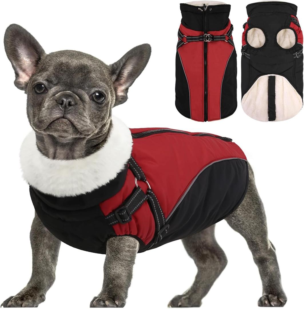 Queenmore Winter Dog Coat, Puffer Jacket with Harness Built-in for Small/Extra Small Dogs, Cold Weather Waterproof Snow Jacket - Fleece Lined, Reflective, Easy On, Adjustable, Zipper - Red/Black XS