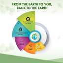 BIODEGRADABLE Elastic Hair Ties for Women & Men - Organic No Crease Blonde Hair Tie Ponytail Holders and Hairties for Buns - Plastic Free Hairbands for Women and Mens Hair - 5mm (27 count)