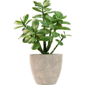 365 Blooming Decor Artificial Potted Jade Plant 12 inch, Luxury Faux Succulent Plant for Home Decor, Office Decor, Money Tree, Faux Plants Indoor Crassula ovata (Green)