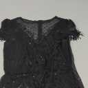 FAIRY COUPLE Women's 1920s Lace Neck Great Gatsby Dress Sequin Art Deco Flapper Dress with Sleeve D20S028, XL