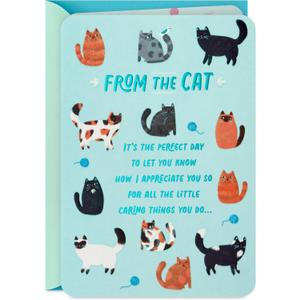 Hallmark Cat Mom Card from Cat (Glad I Adopted You) for Mother's Day, Birthday, Kitten Adoption Day