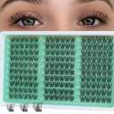 KEYYOULASH Lash Clusters Manga Lash Extension D Curl 120pcs 8-18mm Wispy Eyelash Clusters Natural Individual Lashes DIY at Home(KY02,CC-10-14MIX)