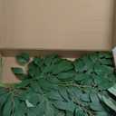 24Pcs Artificial Italian Ruscus Greenery Stems,Silk Greenery Plants Spray Faux Green Leaf Garland Branches Hanging Green Spray Decoration for DIY Wedding Arch, Bouquet,Home Decor