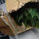 Artificial Ficus Tree 6ft Fake Floor Plant with Woven Basket