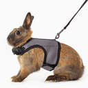 Niteangel  Small Pet Rabbit Harness Leash Comfortable Traction Rope for Rabbits Hamsters and Squirrels Lightweight and Durable Design S