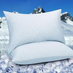 HOMFINE Cooling Pillowcases Queen Size - Double Side Q-Max 0.439 Cooling Fiber for Pillow Protector, Breathable Cold Pillow Cover for Hot Sleeper Night Sweat, Zipper, 2 Pack (20"x30", Light Blue)