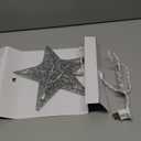 Brizled 9"10 Count Silver.. Christmas Tree Decoration