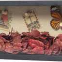 Shadow Box Frame 5x10 Shadow Box Display Case with Linen Back of Awards Memorabilia Flower, Pictures, KeepsakesBouquetMedals and More Photos Memory Box Long Skinny Black (510)