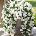 Faux Bougainvillea Artificial Flowers for Outdoors Fake Plants Outside Decoration, 2 PCS White Faux Flowers UV Resistant Look Real Silk Long Trailing Vines for Front Door Porch Planter Patio Garden