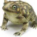AK049 Rubber Toad Prop, Green/Brown