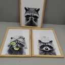 Funny Bathroom Adorable Raccoon Wall Art Decor 16x11 Inch Set Of 3 Laundry Animal Prints Wooden Framed Signs Rustic Washroom Interesting Modren Artwork Wall Hanging Deoration (Wood)