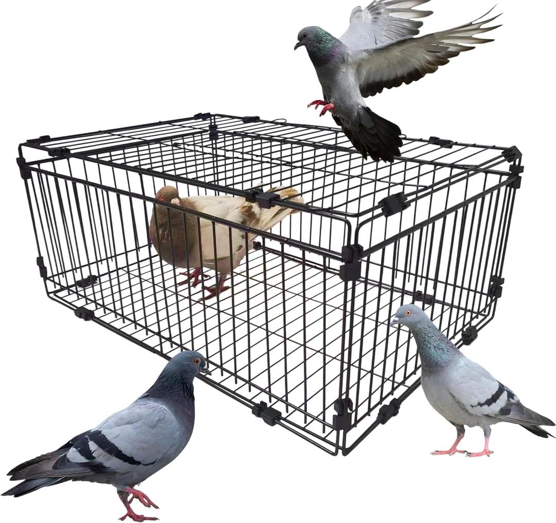 Bird Trap Cage Pigeon Quail Chicken Outdoor Trapping Live Small Bird Trap