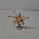 Demissle Coastal Beach Christmas Tree Topper 8 Inch Natural Starfish Tree Topper Conch Star Flower Treetop Decoration Christmas Holiday Decoration for Sea Beach Themed Xmas Home Decor