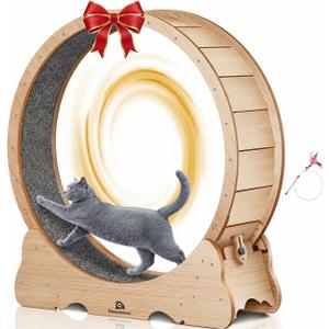 Cat Wheel, 46" XL Large Exercise Running Wheels with Detachable Carpet for Indoor Cats
