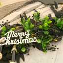 Felice Arts 6 Pack Artificial Black Berry Stems Fake Holly Berries Halloween Picks for Xmas Tree Ornaments DIY Wreath Vase Holiday Home Decor