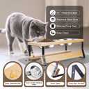 Elevated Cat Bowls with Food Mat, 15 Tilted Anti Vomiting Raised Cat Feeder for Indoor Cats and Puppy, 2 Stainless Steel Bowls for Food and Water