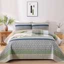 WONGS BEDDING Boho Quilt Queen Size, Bohemian Stripe Quilt Sets 3 Pieces Khaki Green Quilted Bedspread Set Lightweight Microfiber Coverlet Bedding Set All Season (96"x90")