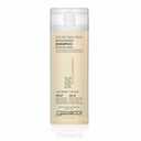 2 x GIOVANNI Tea Tree Triple Treat Invigorating Shampoo - Cooling Peppermint, Eucalyptus & Rosemary, Helps Strengthen & Rejuvenate Hair & Scalp, Salon Quality, Paraben Free, Tea Tree Shampoo - 8.5 oz