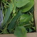 Waipfaru Faux Plants Indoor with Plastic Pots, Realistic Small Fake Plants, Fake Plants with Pothos, Fake Potted Plants, Artificial Plant for Home Shelf Bathroom Kitchen Office Indoor Outdoor Decor