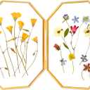 REDHUGO Double Glass Picture Frame Handmade, Glass Pressed Flower Frame, Hinged Tabletop Brass Photo Frames, Dried Flower Display Folding Frame for Home, Octagon, Gold, 57 Inches, 2 Packs