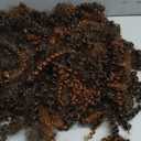 1b30 Color Passion Twist Crochet Hair for Women 9 Packs 10 Inch Water Wave Short Twist Crochet Hair Curly Pre-looped Braiding Hair Extensions For Butterfly Locs Braids