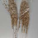 Joiedomi 24 Pcs Christmas Tree Berry Stem (Gold), Decorative Bead Sticks, Glittery Twigs, Picks, Branches for Christmas Tree, Small Vase, Holiday, Wedding, Party (17 Inches, Gold)