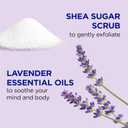 Dr Teal's Shea Sugar Scrub, Lavender Essential Oils, 19 oz (Pack of 3)