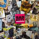Bad Kitty Adult Party Game + After Dark Expansion Set - Ultimate Meme Game with Cats - Exploding for White Elephant Parties, Stocking Stuffers + Board Games Night with Friends