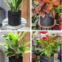 5 Pack 5 Gallon Grow Bags,Nonwoven Fabric Plant Growing Bag with Handles,for Vegetables Flower Fruits Herb Bonsai,Black