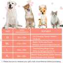 Inflatable Dog Cone Collar for Large Medium Small Dogs, Soft Dog Donut Collar Adjustable Recovery Cone for Pets After Surgery, Extra Enhanced Anti-Licking Guard Shield for Pets (ML, Orange)