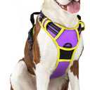 Rabbitgoo Dog Harness No Pull with 2 Leash Clips, Adjustable Soft Padded, Reflective Oxford No Choke Pet Vest with Easy Control Handle for  Dogs, Purple & Yellow, L