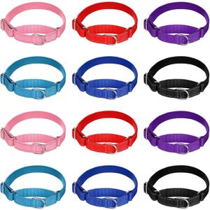 11 Pcs Martingale Collar for Medium Dogs Reflective Dog Collar with Durable Metal Buckle Adjustable Nylon Pet Prevent Slipping Out for Medium, 11 Colors
