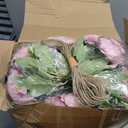 Zeyune 37 Pack Artificial Peonies Flowers with Bud Vase Bulk 24 Bundles Silk Peonies Bouquets 12 Plastic Clear Vase with 1 Rope Fake Flowers for Table Centerpiece Vases(Dark Pink,Perfume)