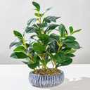 NASAMA Realistic Artificial Potted Plant, Faux Indoor Greenery for Home Office Living Room Bookshelf Bathroom Decor, Low-Maintenance Space-Saving Fake Plants with Modern Decorative Vase