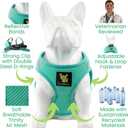 EcoBark Teacup Dog Harness - Luxury Step in Mesh Dog Harnesses in Mint Turquoise, XXS