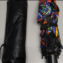 Colorful Umbrella With Leather Black Case