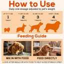 Turmeric Curcumin for Dogs  Hip & Joint Support, Heart & Immune Health Supplement, Immune System Booster, Joint Care for All Breeds & Ages, 60 Chewable Tablets