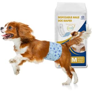 Male Dog Diapers with Wetness Indicator, Disposable Belly Band for Puppy Male Diapers, Doggie Wraps for Puppy Training, Incontinence (M, 26 Count)
