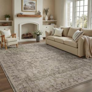DCX Washable 8x10, Kid & Pet Friendly with Rubber Back Non Slip, Stain Resistant Vintage Rug for Living Room, Bedroom, Home Office, Soft Low Pile Large Farmhouse Distressed Carpet, Greige