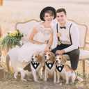 ADOGGYGO Formal Dog Tuxedo, Wedding Dog Bandana Collar with Bowtie, Adjustable Pet Birthday Wedding Tux Outfit for Medium Dogs (M, Black)