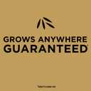Scotts EZ Seed Patch & Repair Tall Fescue Lawns - Combination Mulch, Grass Seed and Fertilizer for Bare Spots and Repair, Covers Up to 225 sq. ft., 10 lb.