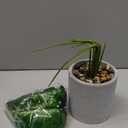 16" Small Fake Plants Artificial Tropical Faux Plants Indoor for Office Desk Shelf Bathroom Home Decor