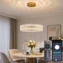 Modern Large Ring Chandelier with APP/Remote Control - 23.6inches